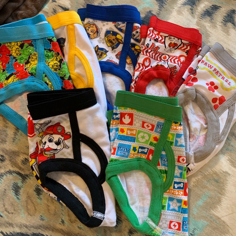 Toddler boy underwear 3t